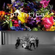 anynext株式会社のプレスリリース画像7