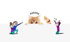 一般社団法人日本猫ねこ協会のプレスリリース画像1