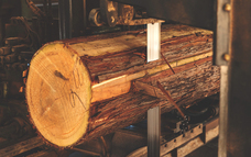 木の工房　iwakaguのプレスリリース画像4