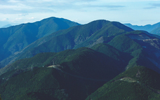 木の工房　iwakaguのプレスリリース画像3