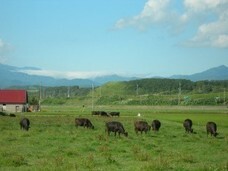 株式会社　エッジのプレスリリース画像5