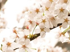 株式会社　エッジのプレスリリース画像4