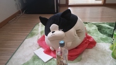 大阪京阪沿線門真市守口市寝屋川市枚方市夢美コンシェルジュセンターのプレスリリース