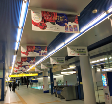 住友化学園芸株式会社のプレスリリース画像2