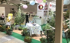 住友化学園芸株式会社のプレスリリース画像3