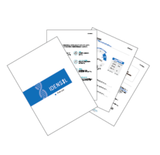 株式会社ファーストリリーのプレスリリース画像4