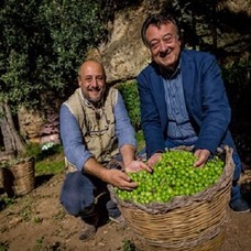 株式会社味とサイエンスのプレスリリース画像4