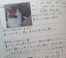 ねこライフ手帳製作委員会のプレスリリース画像6