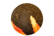 Relajanteのプレスリリース画像4