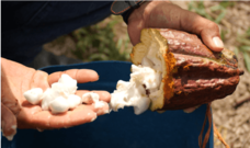 chocolat roadのプレスリリース画像7