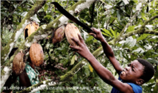 chocolat roadのプレスリリース画像10