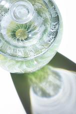 合同会社ワンダーラボアジアのプレスリリース画像3