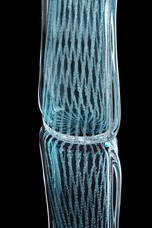 合同会社ワンダーラボアジアのプレスリリース画像1