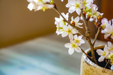 株式会社アンジェラックスプランニングのプレスリリース画像1