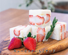 恵比寿楽園テーブルのプレスリリース画像4