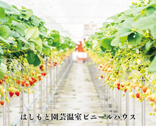 恵比寿楽園テーブルのプレスリリース画像3