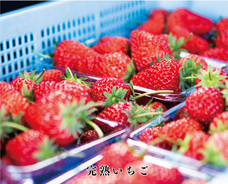 恵比寿楽園テーブルのプレスリリース画像2