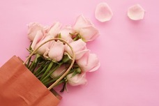 はじめる、にいがたのプレスリリース画像1