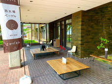 はじめる、にいがたのプレスリリース画像1