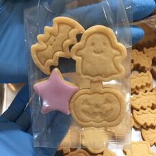 はじめる、にいがたのプレスリリース画像1