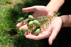 はじめる、にいがたのプレスリリース画像1