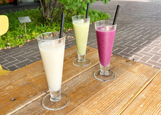 はじめる、にいがたのプレスリリース画像1