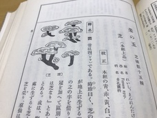 株式会社デジタルファームのプレスリリース画像1