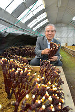 株式会社デジタルファームのプレスリリース画像4