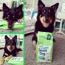 株式会社CHIKARAのプレスリリース画像8