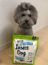 株式会社CHIKARAのプレスリリース画像5