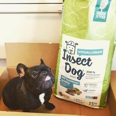 株式会社CHIKARAのプレスリリース画像9