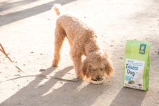 株式会社CHIKARAのプレスリリース画像4