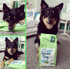 株式会社CHIKARAのプレスリリース画像9