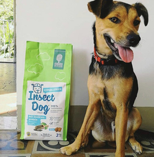 株式会社CHIKARAのプレスリリース画像7