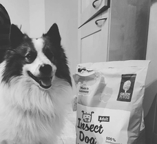 株式会社CHIKARAのプレスリリース画像6