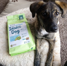 株式会社CHIKARAのプレスリリース画像10