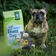 株式会社CHIKARAのプレスリリース画像8