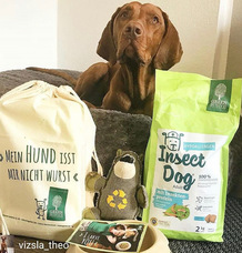 株式会社CHIKARAのプレスリリース画像10