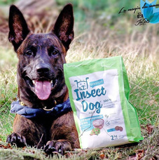 株式会社CHIKARAのプレスリリース画像9