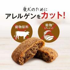 株式会社CHIKARAのプレスリリース画像3