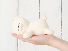 ブルーブルーエジャパン株式会社のプレスリリース画像7