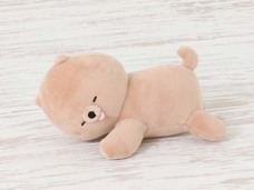 ブルーブルーエジャパン株式会社のプレスリリース画像5