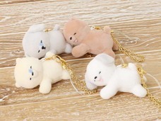 ブルーブルーエジャパン株式会社のプレスリリース画像8