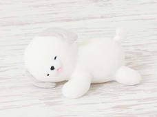 ブルーブルーエジャパン株式会社のプレスリリース画像6