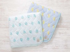 ブルーブルーエジャパン株式会社のプレスリリース画像3