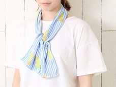 ブルーブルーエジャパン株式会社のプレスリリース画像2