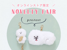 ブルーブルーエジャパン株式会社のプレスリリース画像4