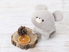 ブルーブルーエジャパン株式会社のプレスリリース画像8