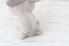 ブルーブルーエジャパン株式会社のプレスリリース画像7