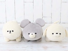 ブルーブルーエジャパン株式会社のプレスリリース画像5